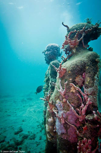Coral Reef Preservation: an Artist's Statement