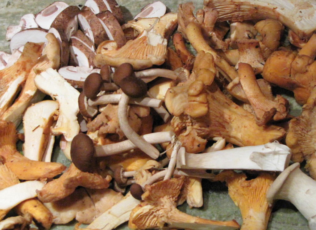 Fresh Mushroom Risotto