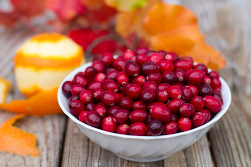 Cranberry Relish-Sonoma Style
