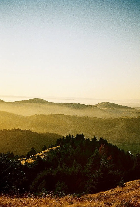 The Natural Beauty of Sonoma County