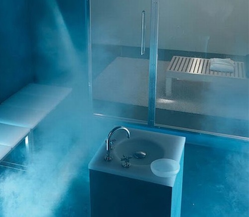 Do you Tala in your very own Mr. Steam at home steam shower?