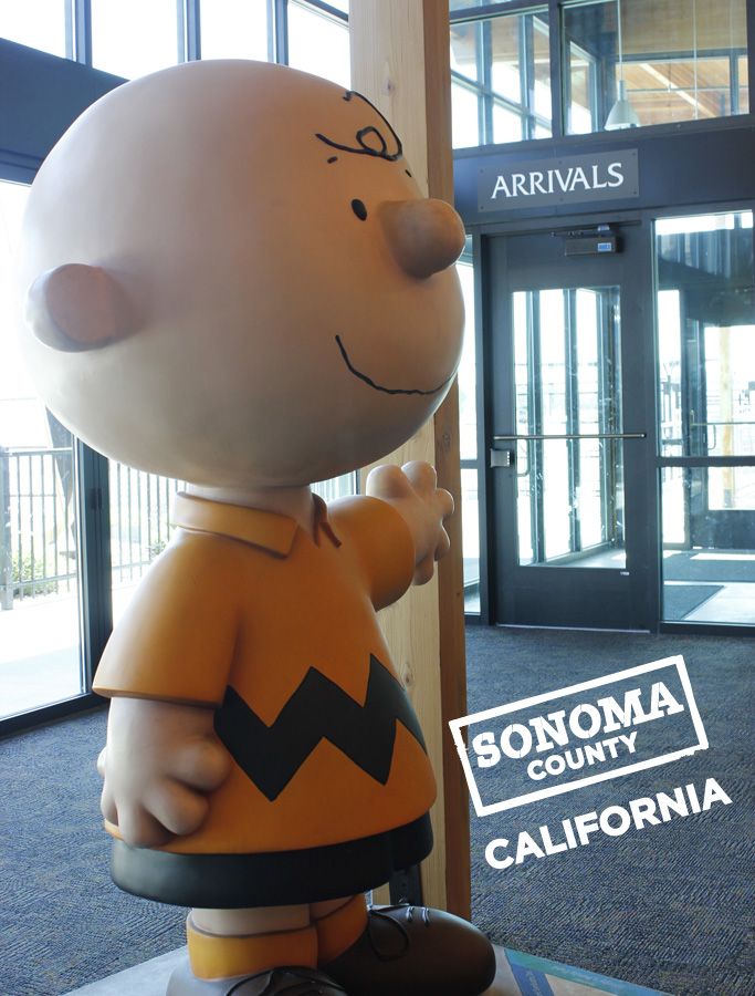 Charles Schultz Airport Santa Rosa-For more info. on Sonoma County, CLICK ON THE PHOTO
