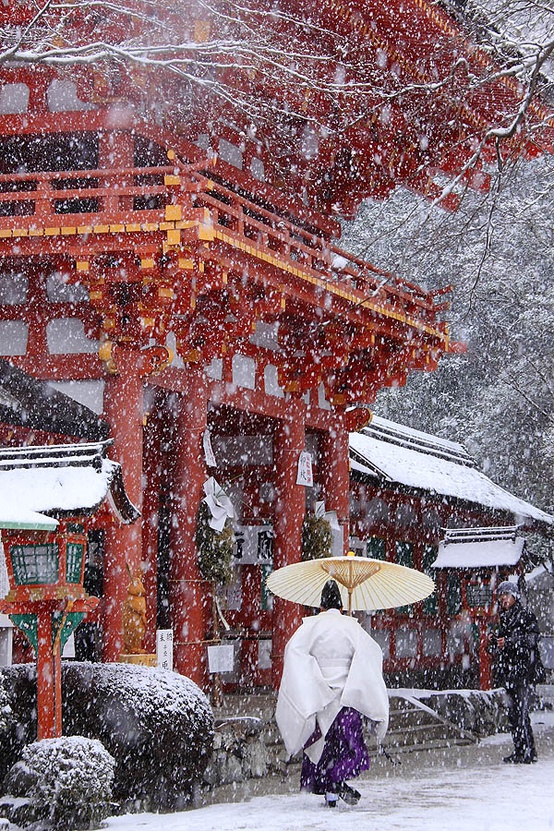 Wonderful Winter Wonderland-image by photographer U-92 San-click photo for more images!
