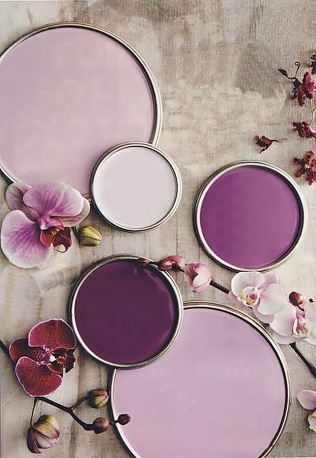 Pantone Color of the Year 2014-Radiant Orchid