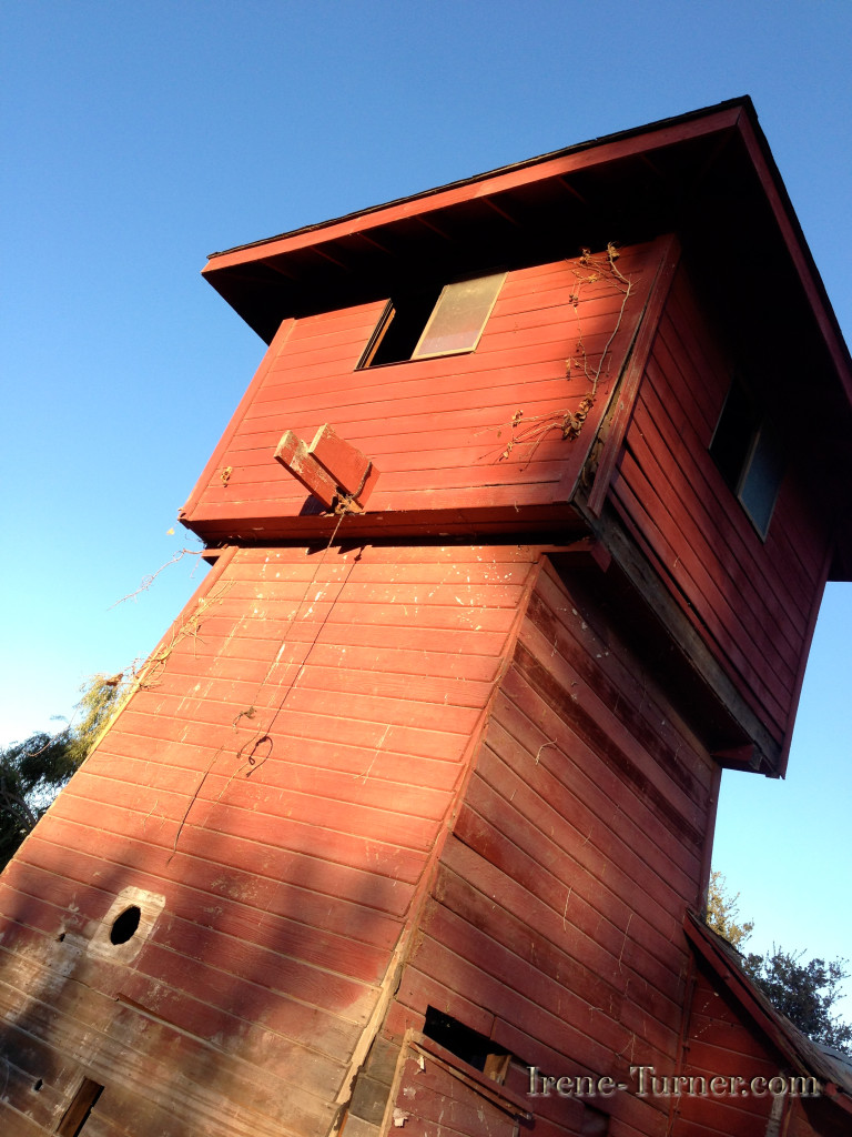 Sonoma County Water Towers-image by Irene Turner