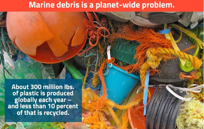 Save our Oceans by collecting debris and plastic from our shores-via Washed Ashore Organization 
