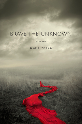 Thoughtful Christmas Gifts-Brave the Unknown by Ushi Patel