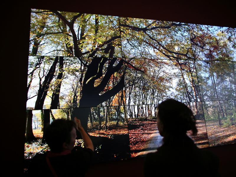 In a room with large scale video art by David Hockney-image via German "Bigger Exhibition"